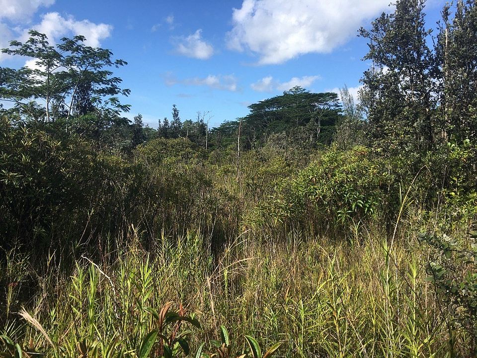 1st image of 2nd Avenue Aloe Lot 2803