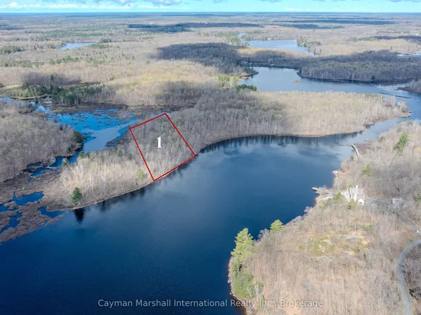 4805 Muskoka Rd #169, Muskoka Lakes, ON P0C 1H0