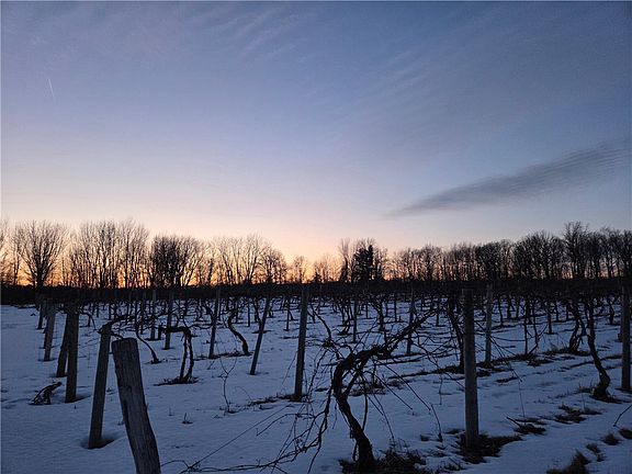 2nd image of Sutton Rd Lot 6