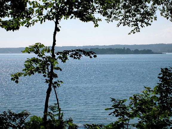 View from 75' from water