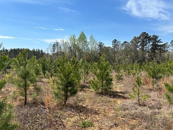 2nd image of 0 County Road 421