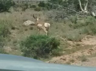 249 Windmill Rd, Carrizozo, NM 88301