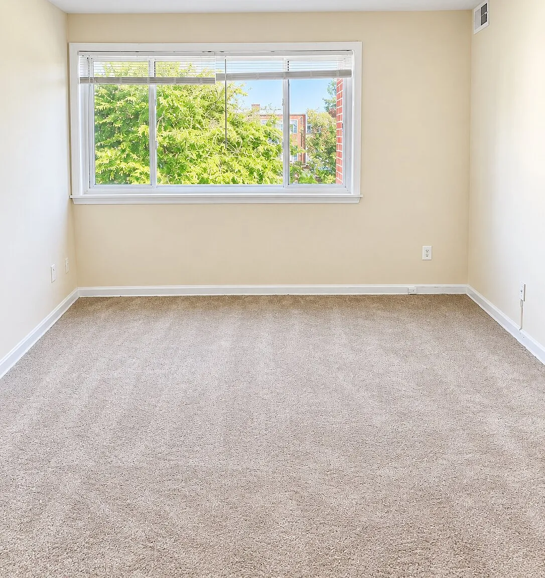 1 bed, $1,330 — Photo 4