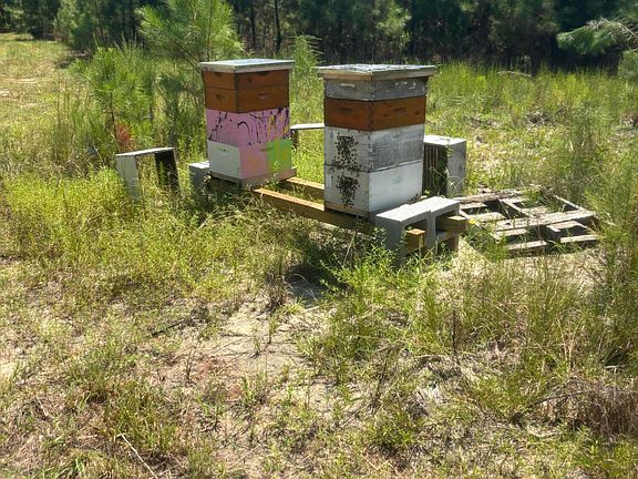 5th image of 1647 Smoak Rd