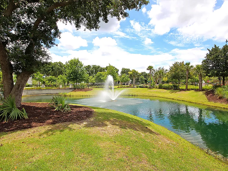 2207 Dewees Creek Dr — Photo 64