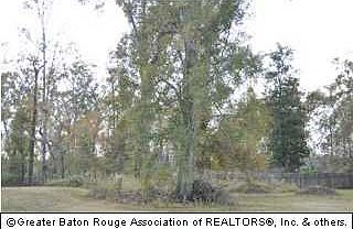 3rd image of 19 Twin Oaks Dr