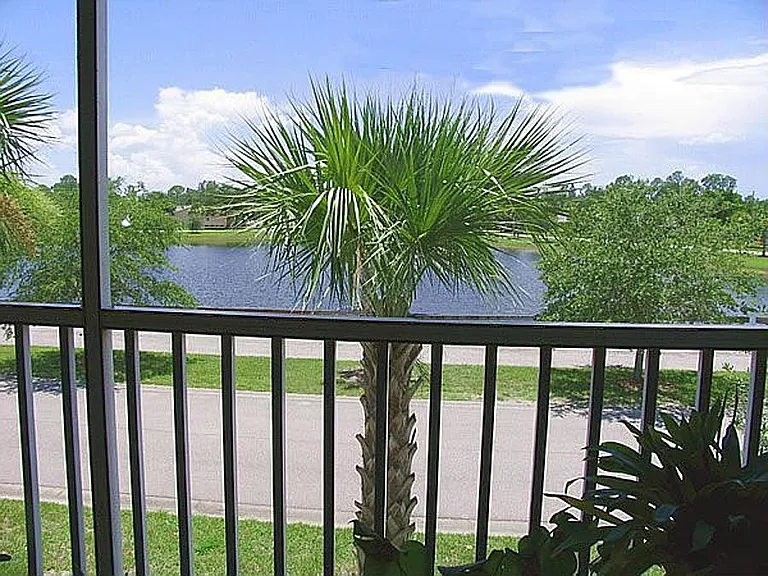 View from Balcony 1
