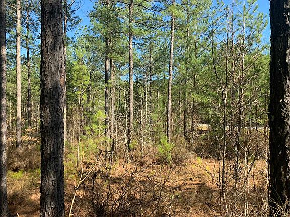 4th image of 1060 Apalachee Meadows Dr