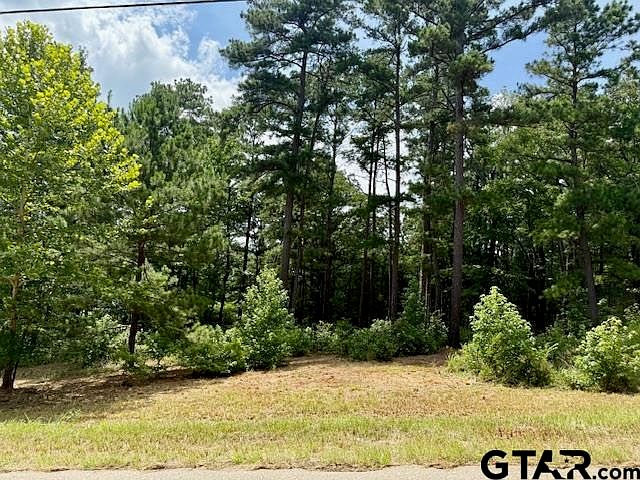 1st image of 16203 County Road 436
