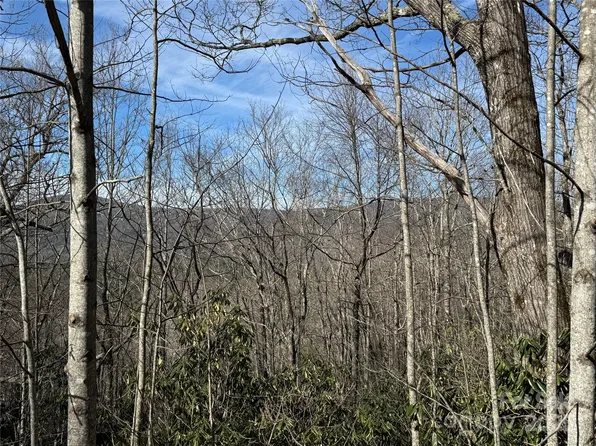 L13 S Black Bear Ct, Sapphire, NC 28774