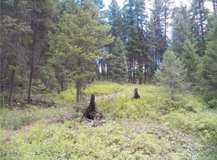 0 Tbd Nicholson Creek Rd, Wauconda, WA 98859