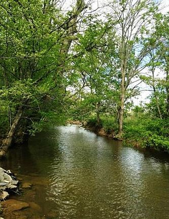 5th image of Spruce Pine Rd