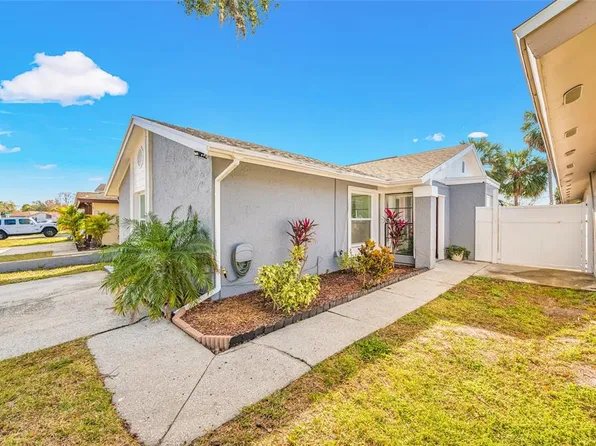 11045 Springridge Dr, Tampa, FL 33624