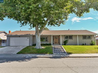 1050 Winton Dr, Walnut Creek, CA, 94598