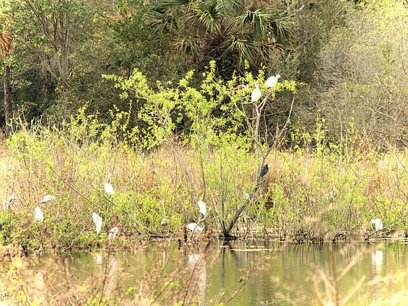 Serene Living Along the San-large-003-5-