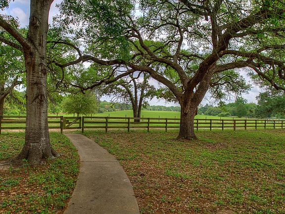 Lovely view from front porch of graceful live oak trees and improved hay meadow. Home is surrounded by substantial wood fencing.