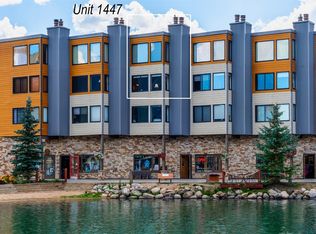167 Argentine Ct #1447, Keystone, CO 80435