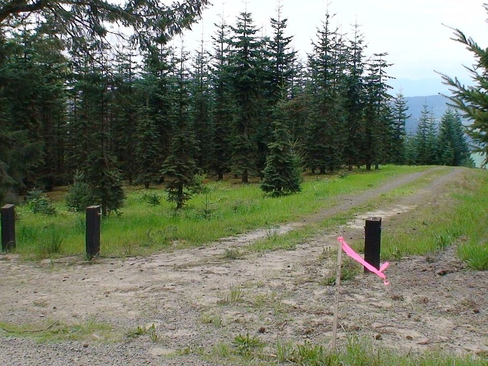 24843 SW Albertson Road