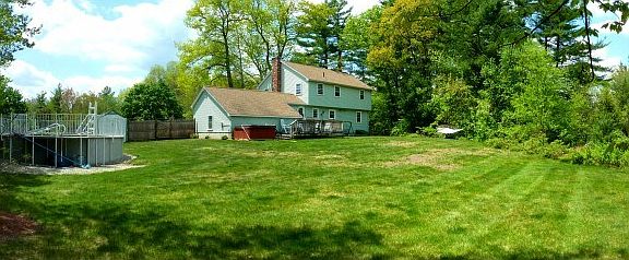 Spacious and Private Rear Yard