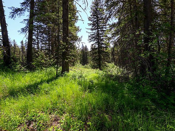 4th image of 14 Elk Rd