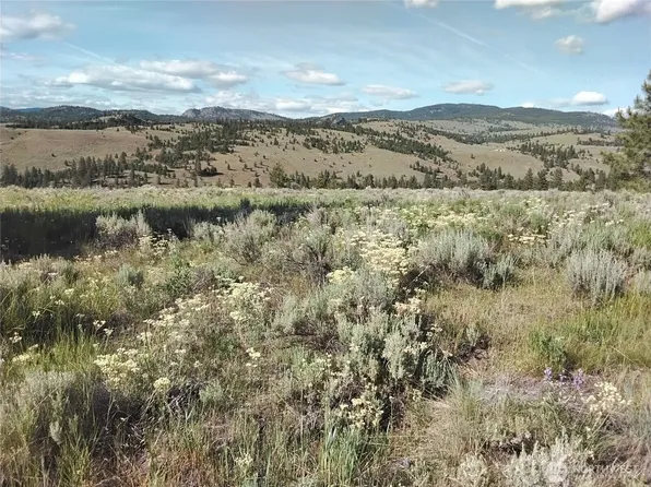 0 Siwash Creek Road, Tonasket, WA 98855