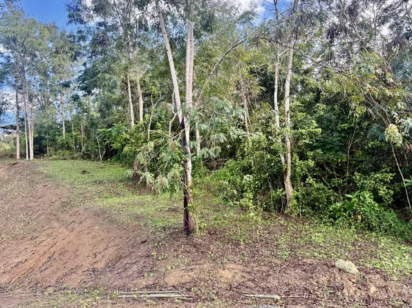 Avenue Praderas Pl, Cayey, PR 00736