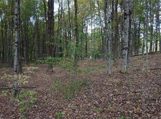 0 McCaw Rd #21, Williamstown, NY 13493