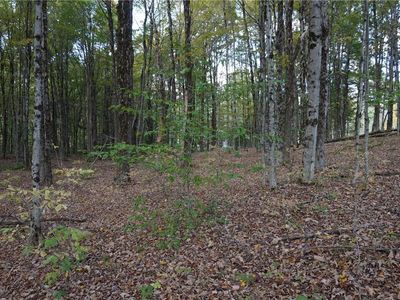 0 McCaw Rd #21, Williamstown, NY, 13493