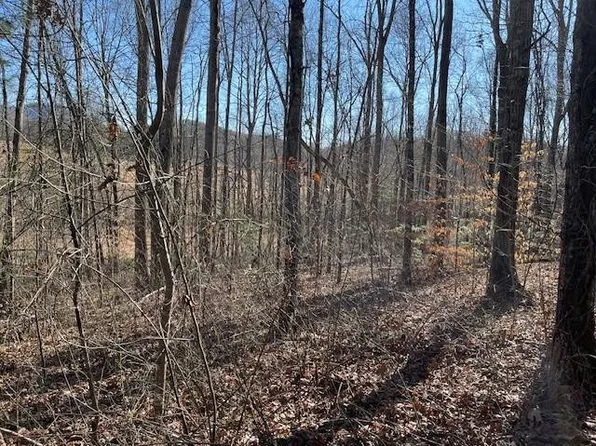 LOT 2-2E The Woodlands, Hayesville, NC 28904