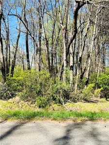 0 W Dameron Ave, Liberty, NC, 27298