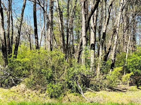 0 W Dameron Ave, Liberty, NC 27298