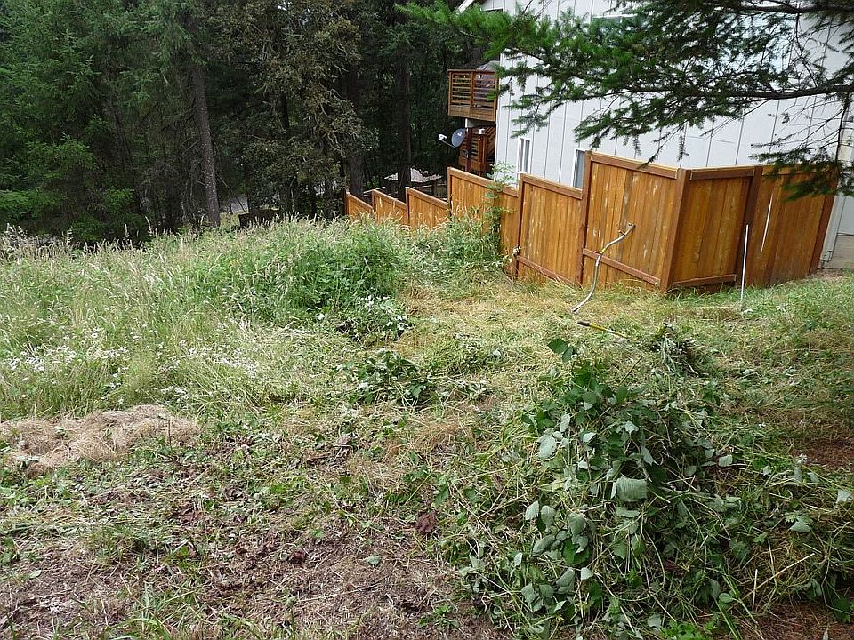 view from 903 woodhill drive