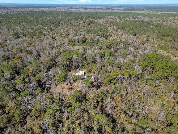 5th image of 88 Canopy Ln