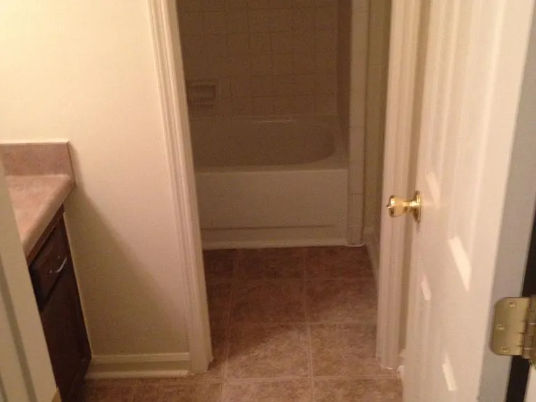155C Belmont Rd #D — Photo 5
