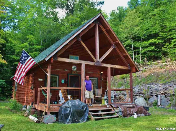 146 Dent Rd, Prattsville, NY 12468