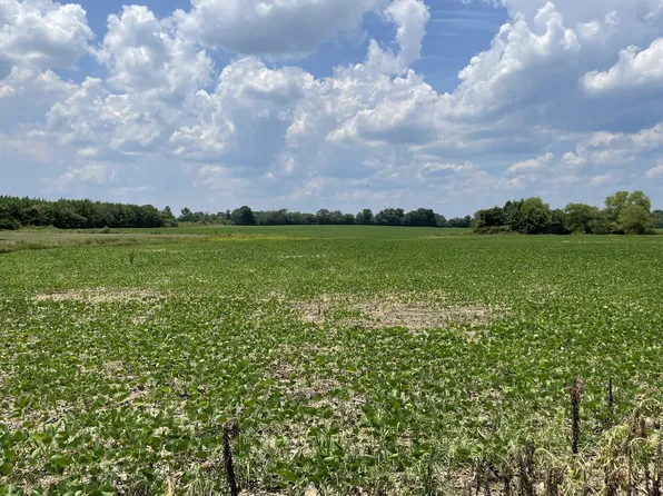 0 Jonestown Rd, Summertown, TN 38483