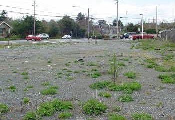 1st image of 1589 Myrtle Ave