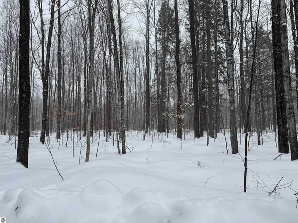 0 Dreffs Rd, Gaylord, MI 49735