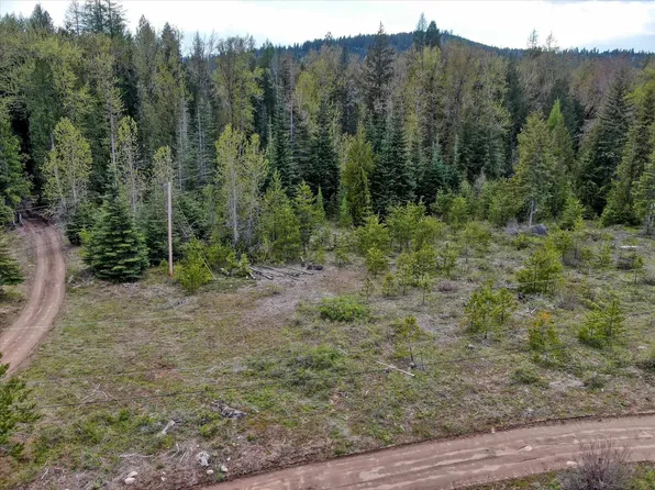 Blue Moon Ln, Newport, WA 99156