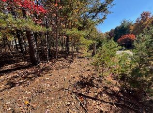 LOT 72 Gap Bridge Rd, Moneta, VA 24121
