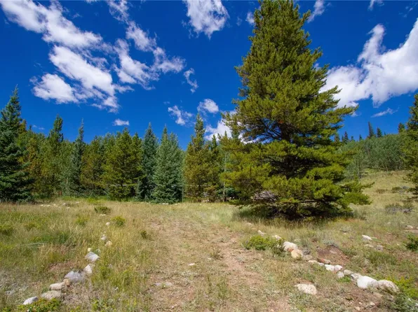 1147 County Road 1, Alma, CO 80440
