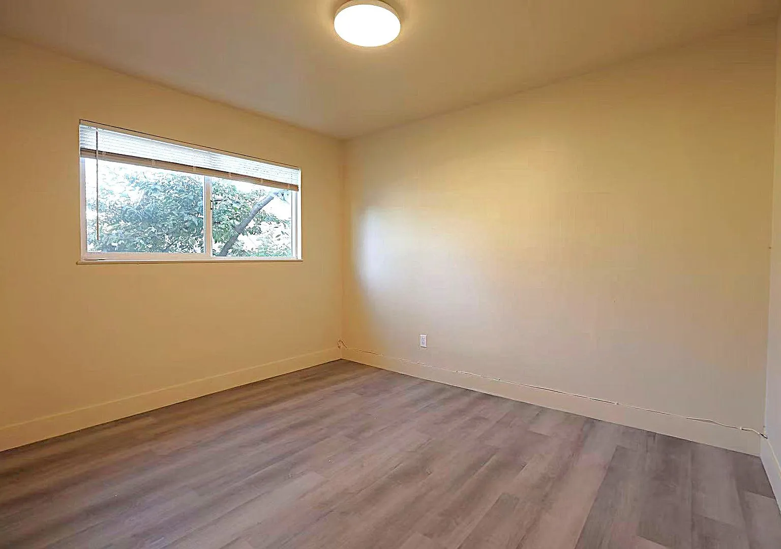 $2,495/month Renovated 2BR/1BA in Prime Berkeley Location (Available Now) — Photo 4