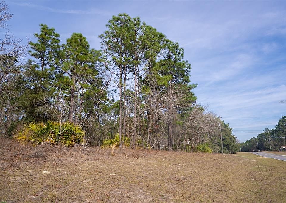 2nd image of 2173 W CITRUS SPRINGS BOULEVARD LOT 17