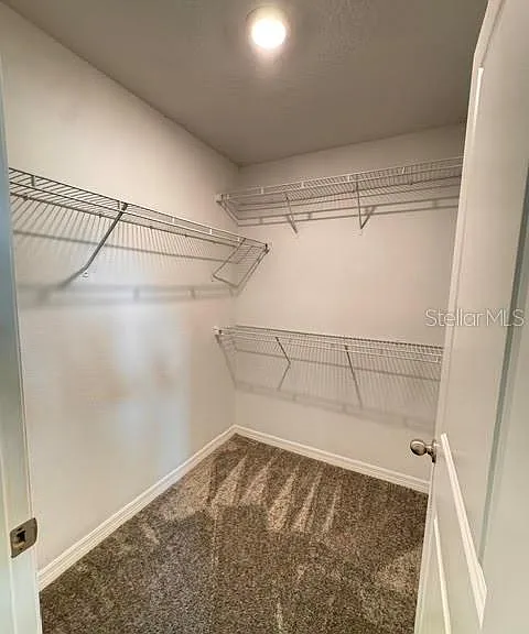 266 Reese Ct — Photo 10