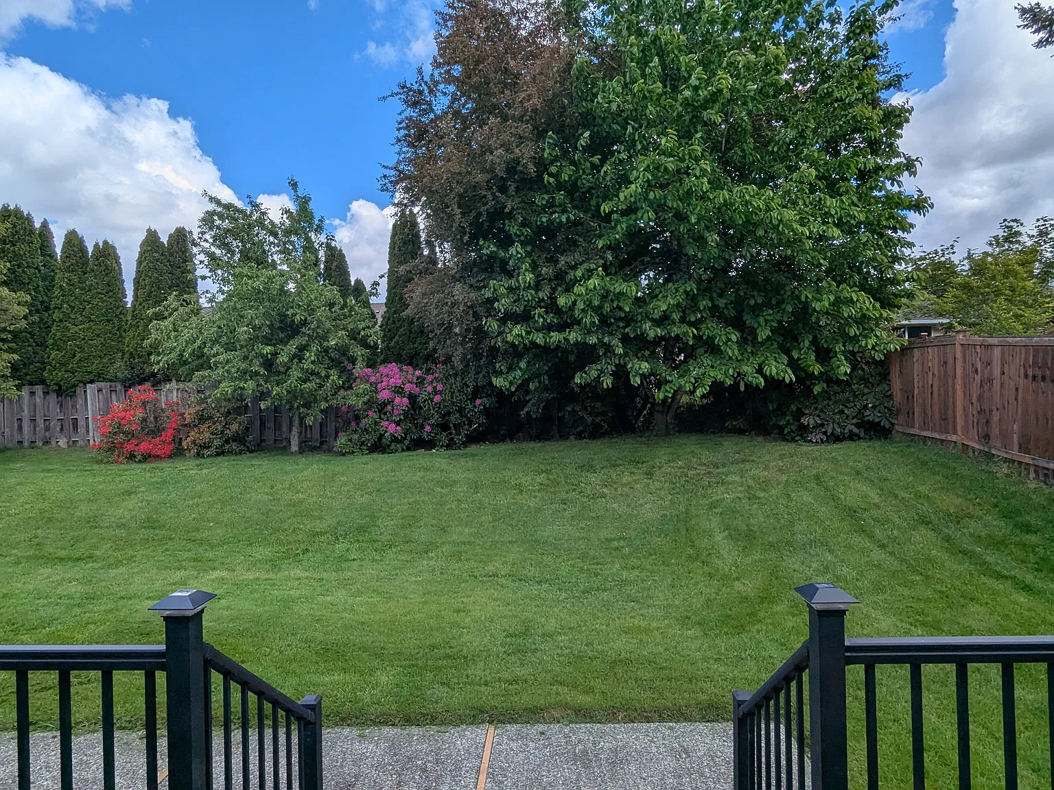 3 bed, 2.5 bath, 1560 sqft, $3,200 — Photo 3