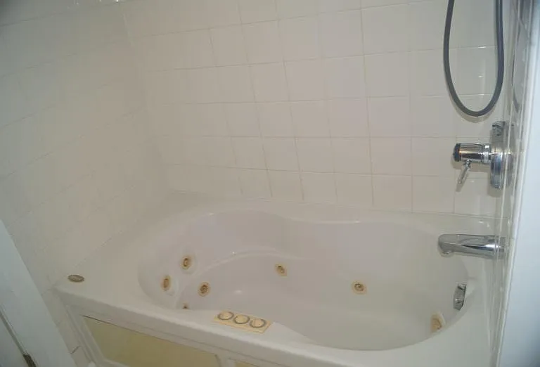 Master Bathroom Jacuzzi Tub