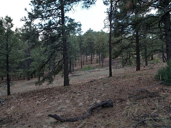 2nd image of 0-A015 County Rd