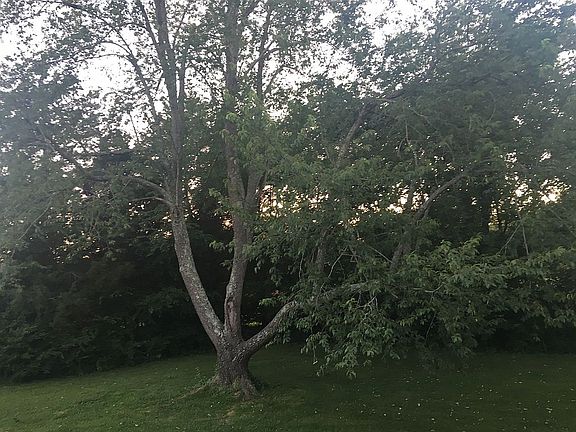 5th image of 2560 Old Clarksville Park