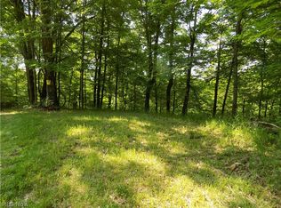 Grassy Rd, Walker, WV 26180