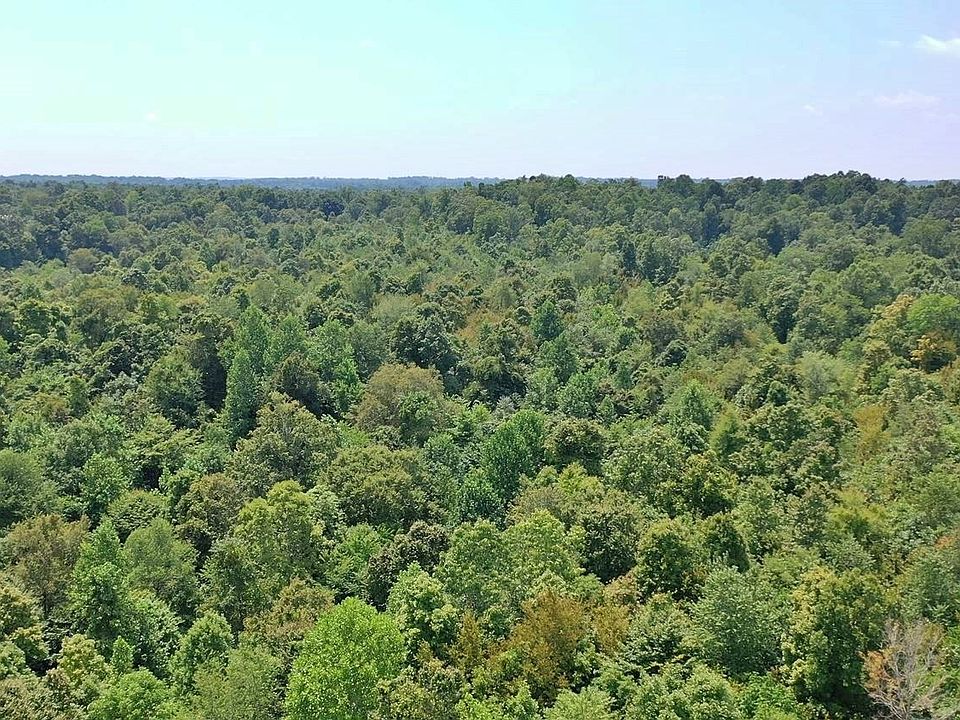 2nd image of Conrad Ridge Rd